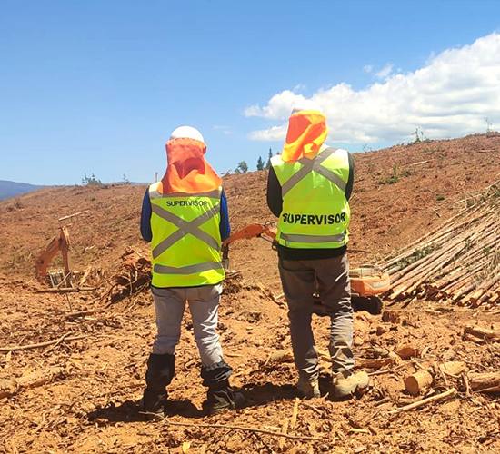 Captura de datos en terreno para análisis forestal