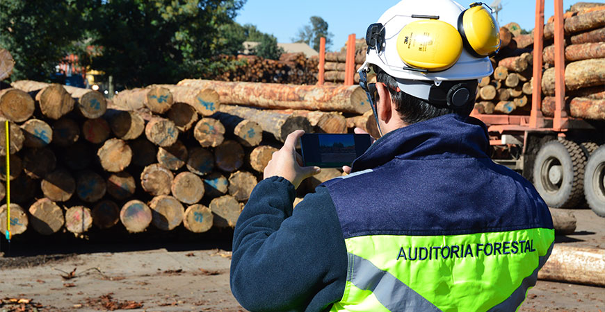 Control técnico de operación forestal en terreno