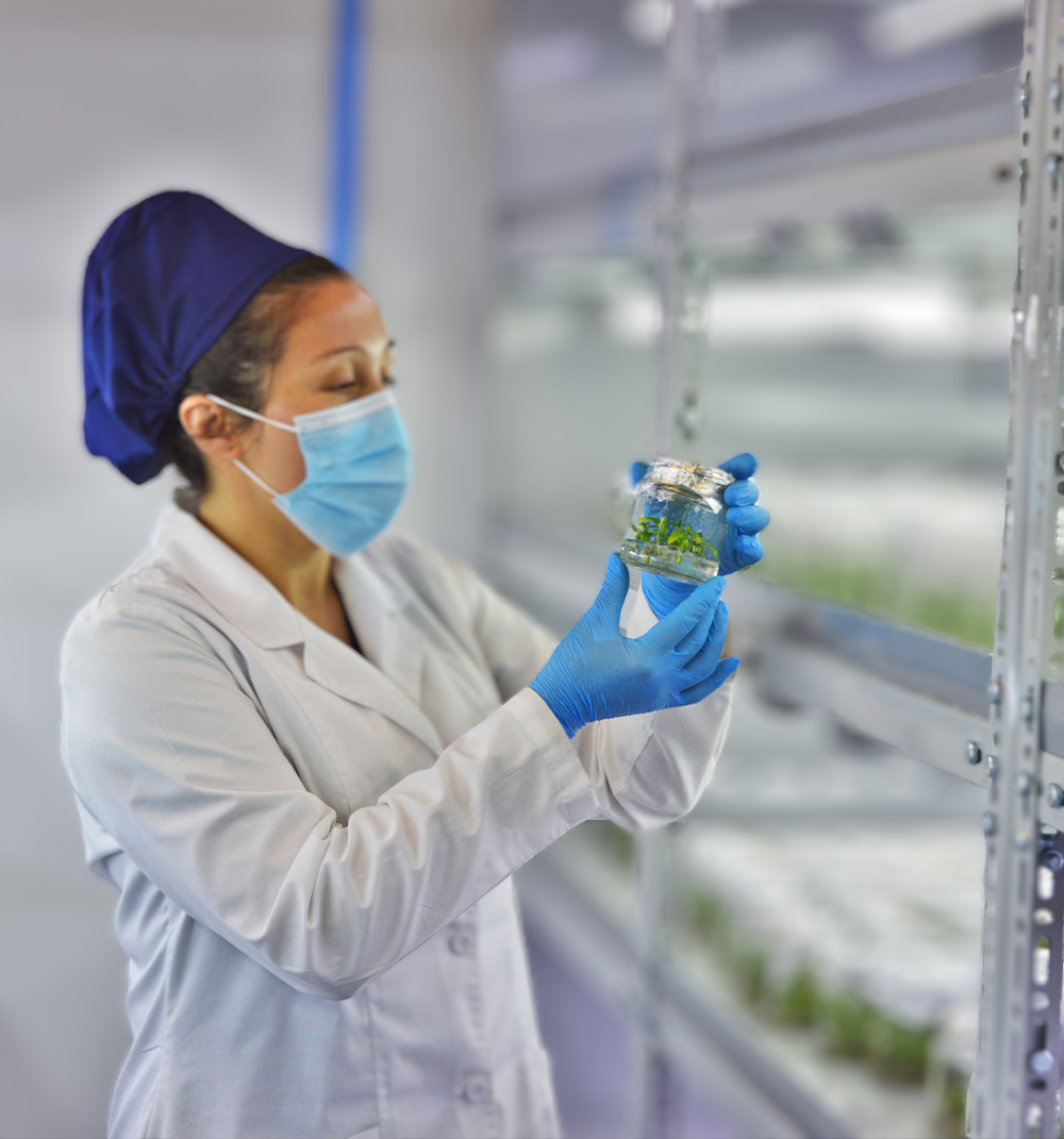 Manejo técnico de plantas y propagación vegetal.
