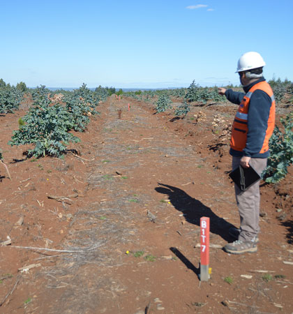 Captura de datos para inventario forestal