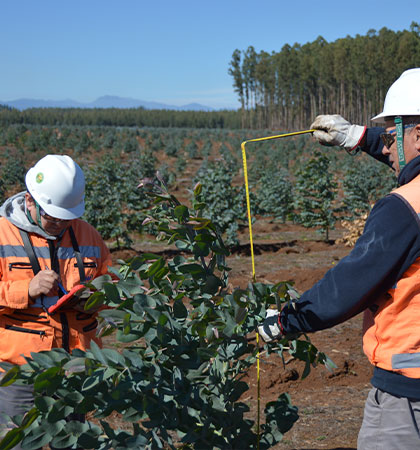 An�lisis de variables de crecimiento y productividad